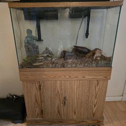 55 Gallon Aquarium (Fish Tank)
