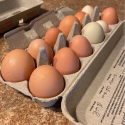 Local Organic Eggs