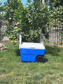COLEMAN ICE CHEST