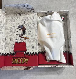 Snoopy Stanley