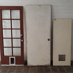 32" 10-Lite Glass French Door + Hollow Core Doors