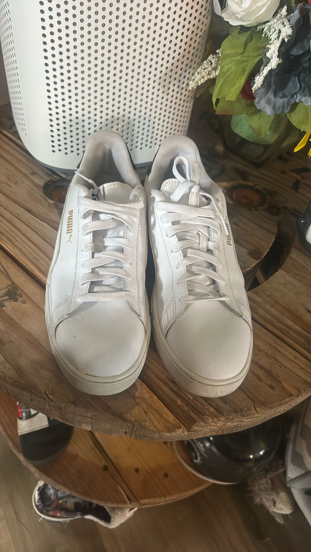 Pumas