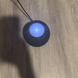 Apple HomePod Mini 