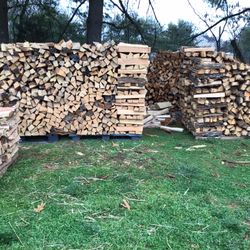 Oak Firewood