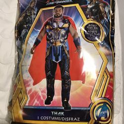 Adult Thor Costume 