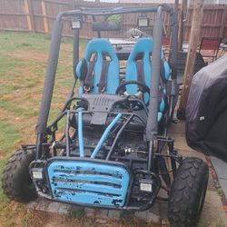 Adult Size Dirt Buggy