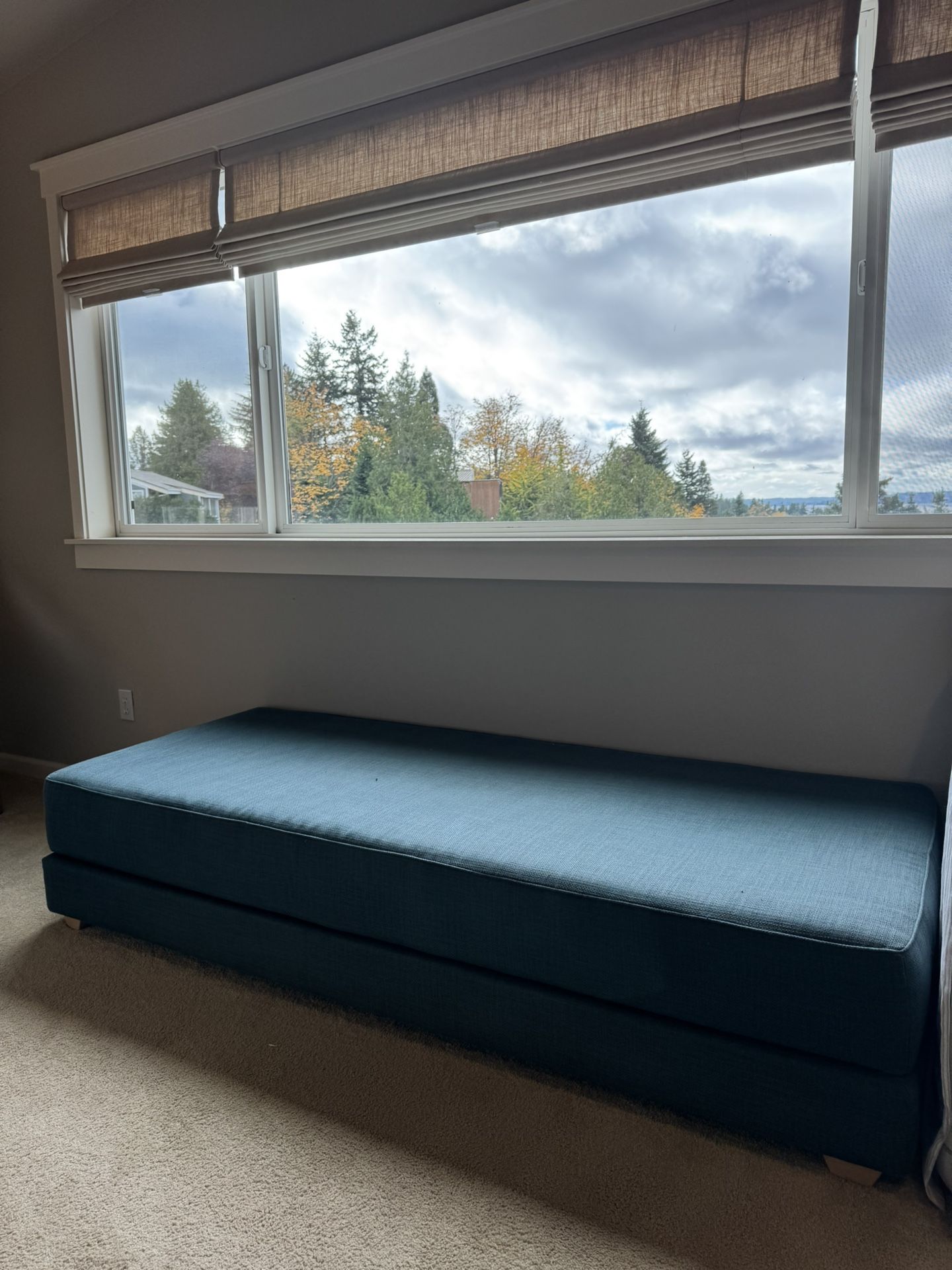 West Elm Mid Century Daybed/Sofa 