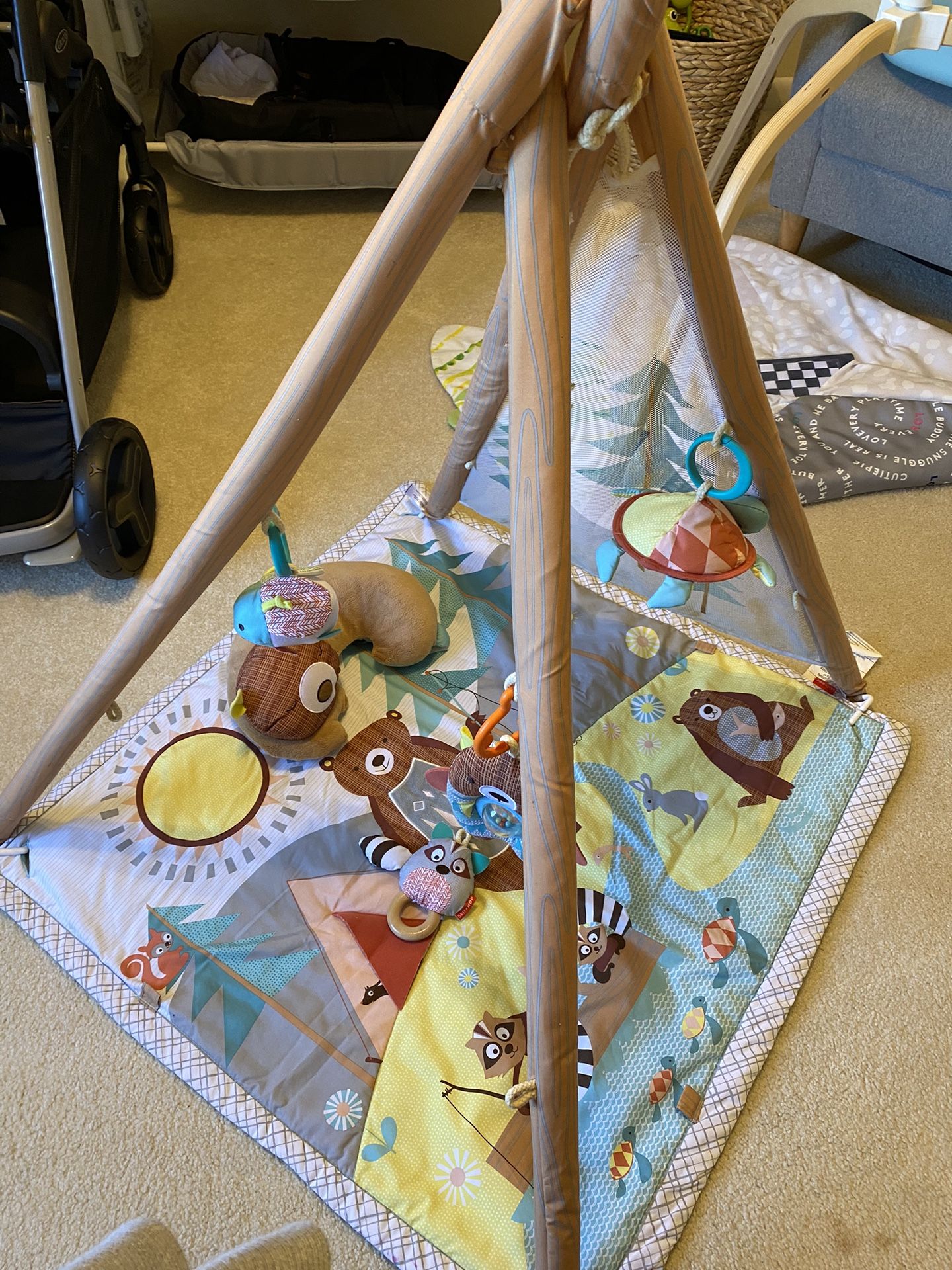 Skip Hop Baby Play Gym