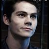 Dylan Nelson