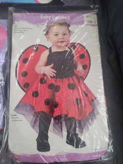 Ladybug