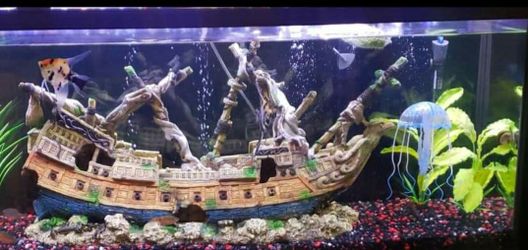 Aquarium underwater shipwreck
