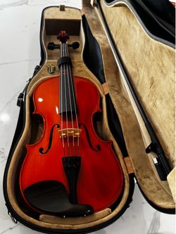 Viola