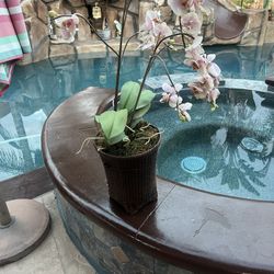 Artificial Orchid