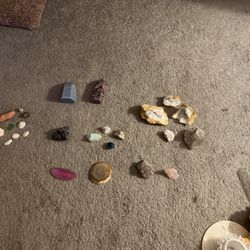 Shells Rocks Crystals 