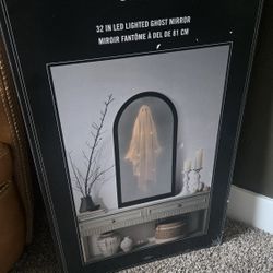 Viral Martha Stewart 32’ Led Lighted Ghost Mirror VHTF Halloween Decor Wall Art