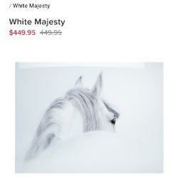 Z Gallerie Beautiful Glass Horse Picture