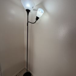 6 Foot Lamp