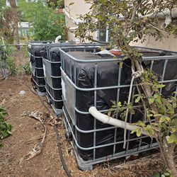 275 gallon water tank (3)