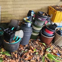 Various Pots For Plants