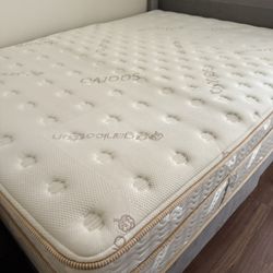 12 Inch Mattress