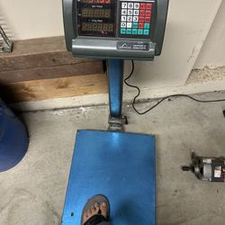 Heavy Weight Scale