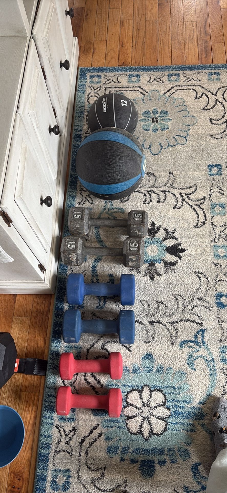 Dumbbells and Medicine Balls