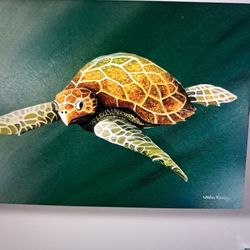 Painting of sea turtle