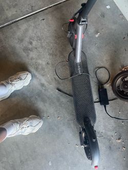 Lad ped e scooter