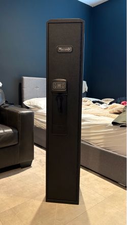Gun and jewelry safe