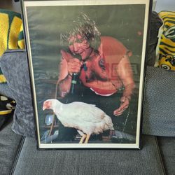 Ozzy  With Chicken.   Poster