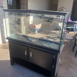 Reptile Tank