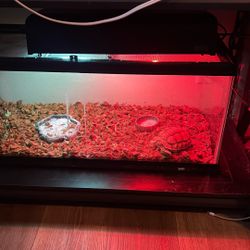 Fish Tank Reptile Terrarium