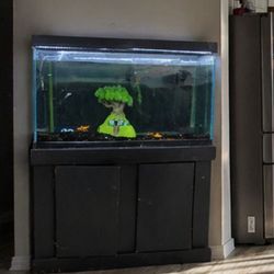 Fish tank