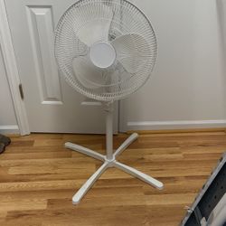 Fan