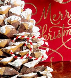 Enamel Candy Cane Hoop Earrings New