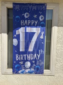 17th birthday decorations