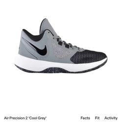 Nike Air Precision 2 'Cool Grey' Basketball Shoes