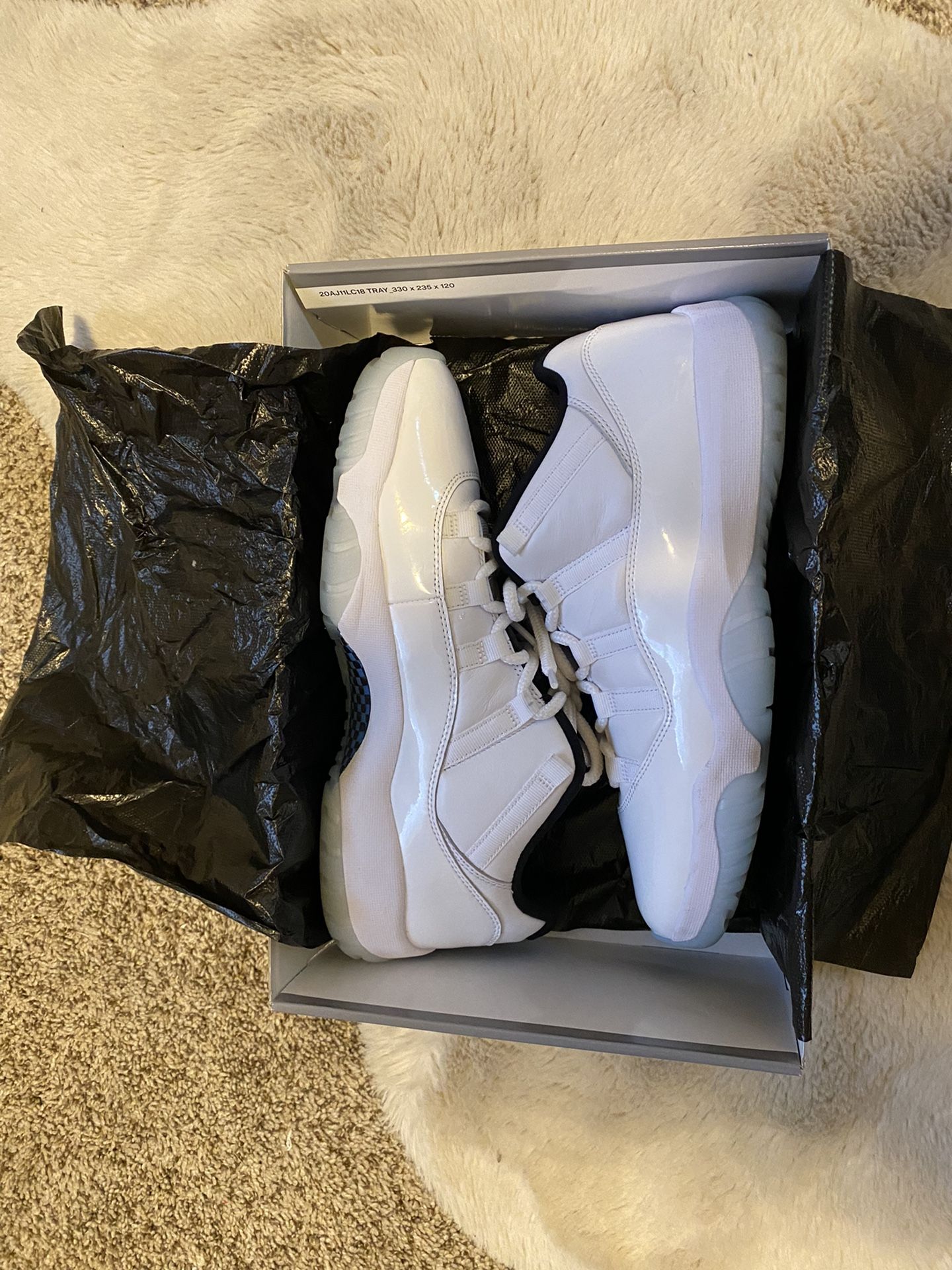 Jordan 11 Retro Lows