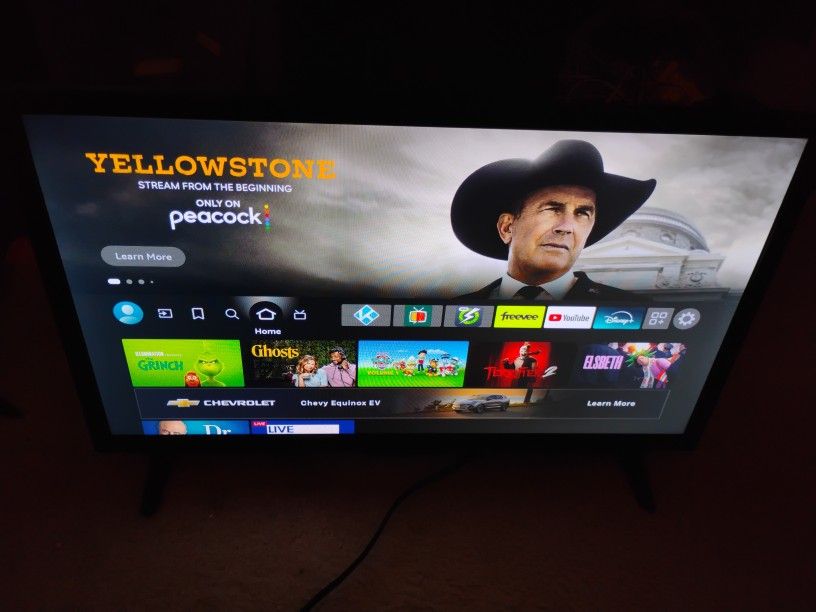 24" Insignia Smart TV