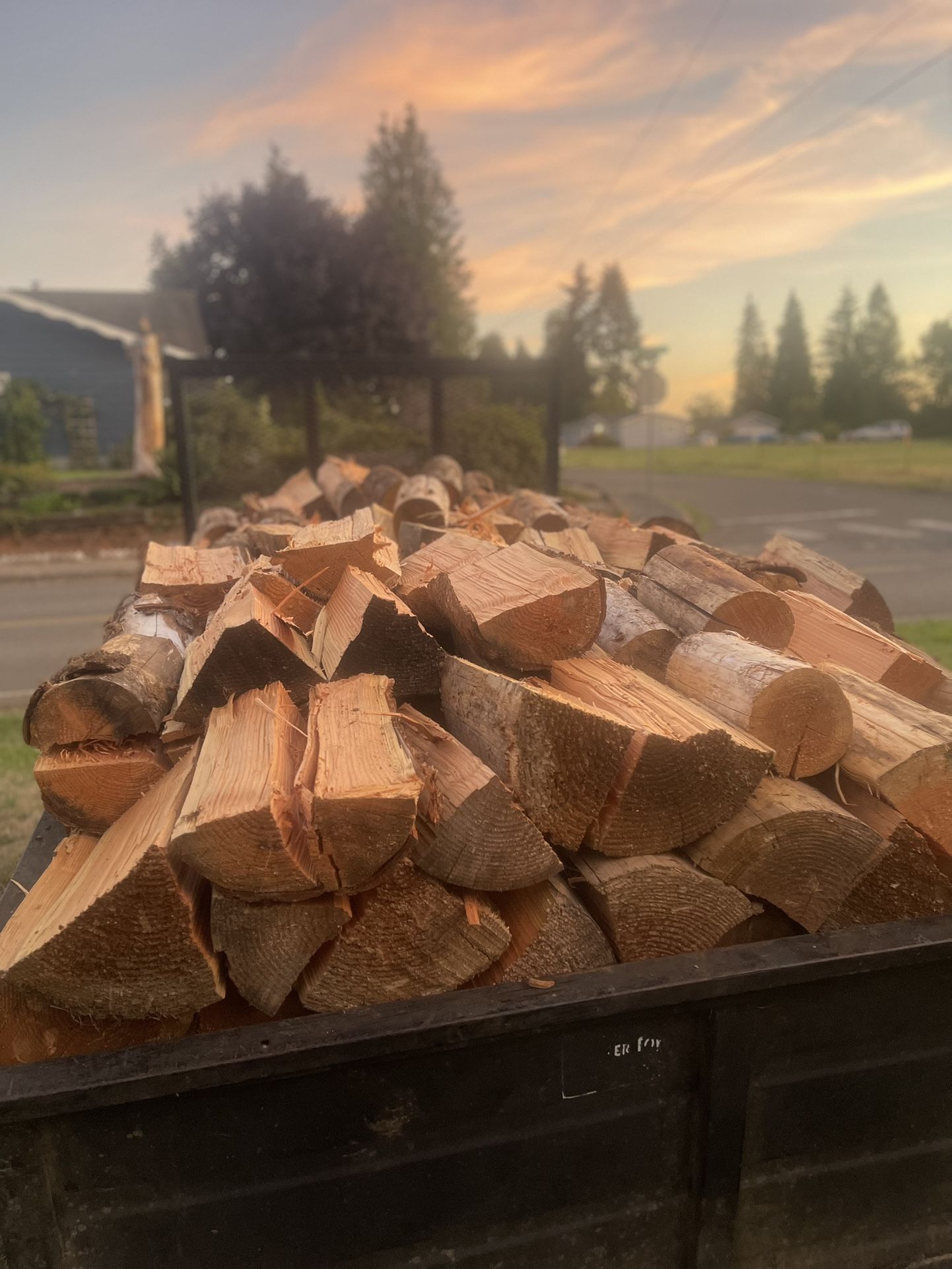 Seasoned Fir Firewood For Delivery