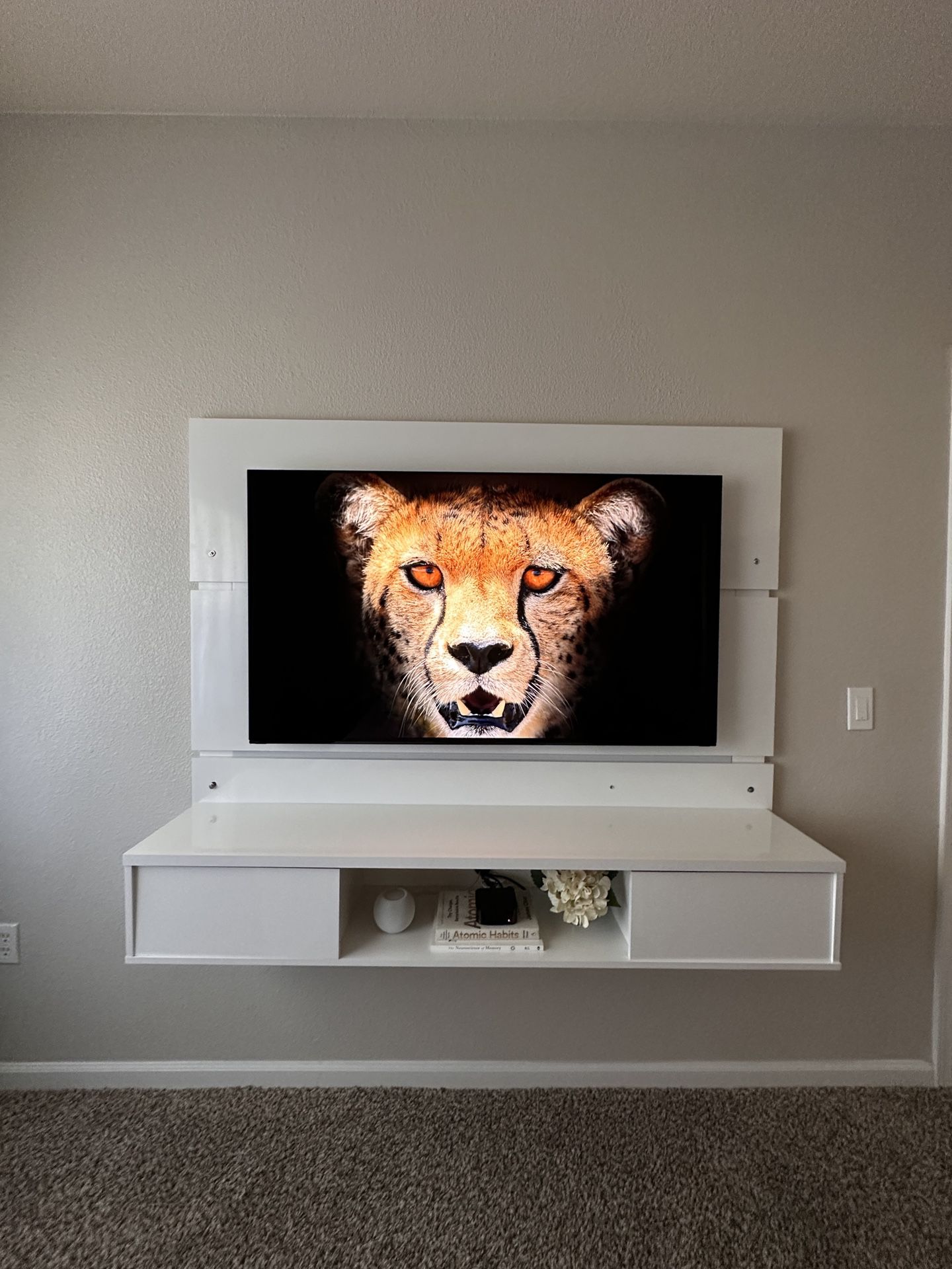 $3000 Sony master series OLED TV, Hardly Used, 55 inch bundle with Apple TV 4K, Apple HomePod Mini, and entertainment center