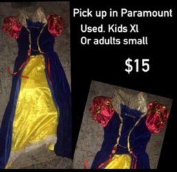 Snow white costume