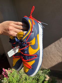 Off white dunk Michigan
