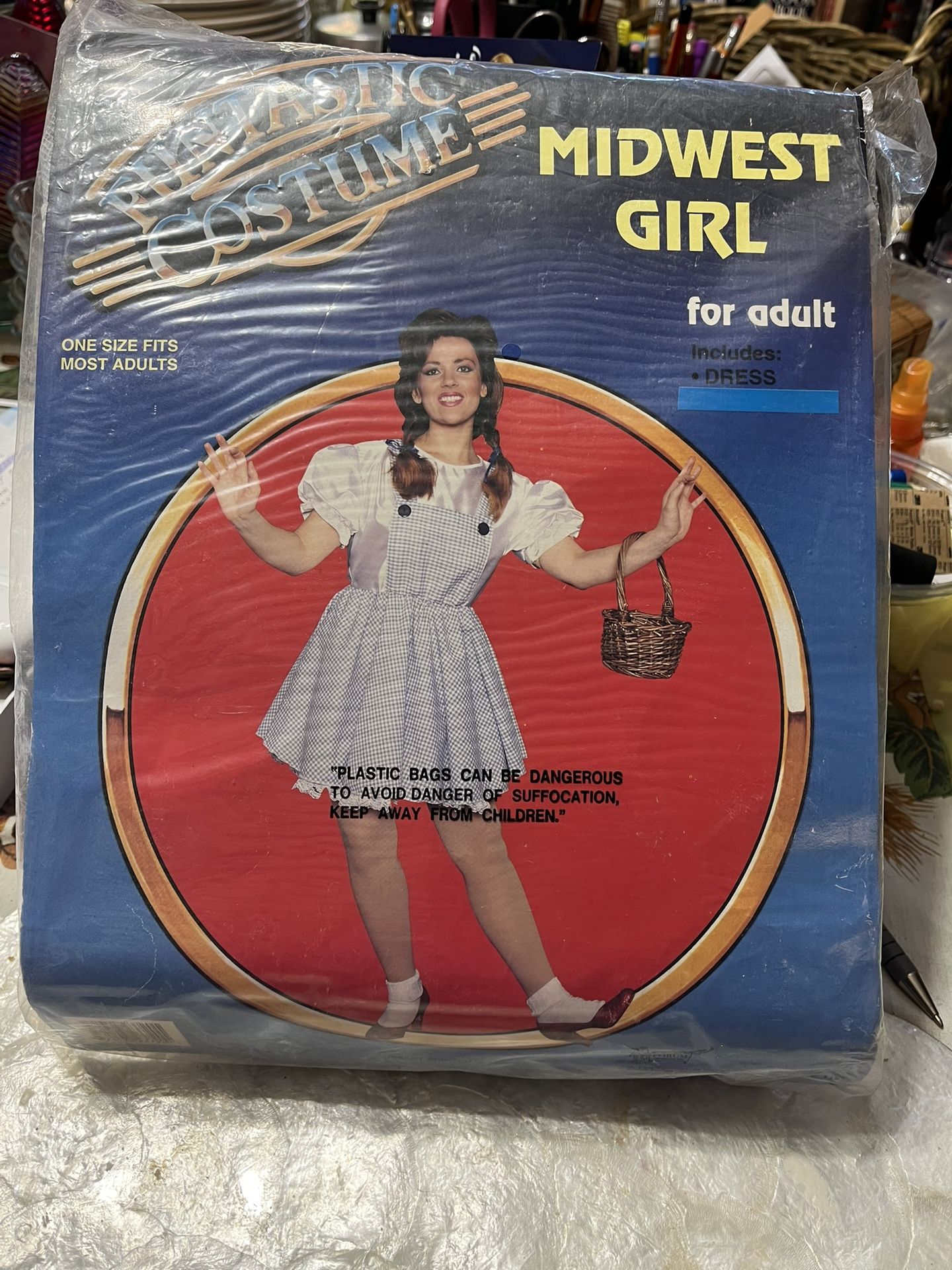One Midwest  Dorothy Style Costume Dress