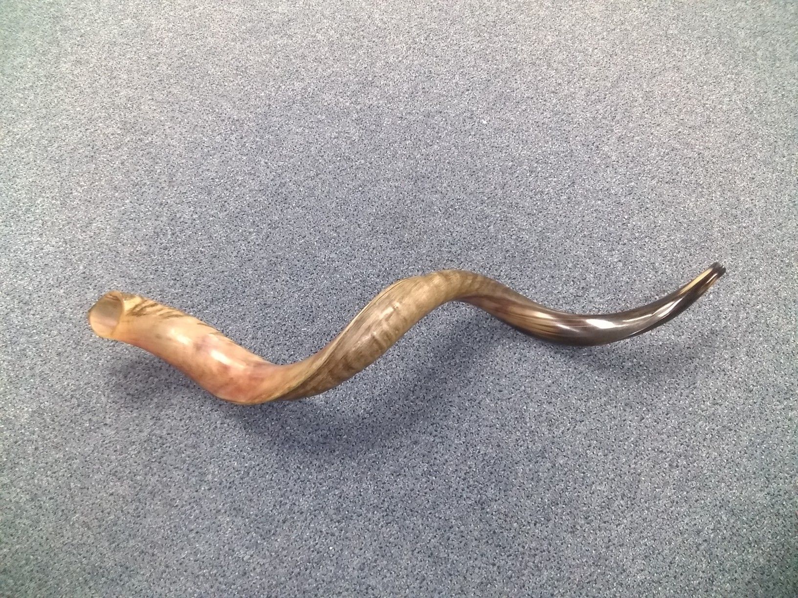 kasher shofar brought from israel 43_47