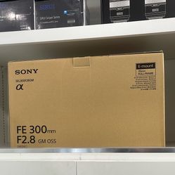 Sony FE 300mm F2.8 