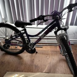 Shwinn Ranger 24 mountain bike 