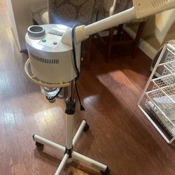 Facial Steamer 