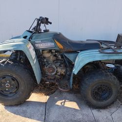  Bear Tracker 250 