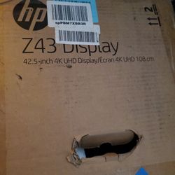 42.5 Inch 4k Hp Display 